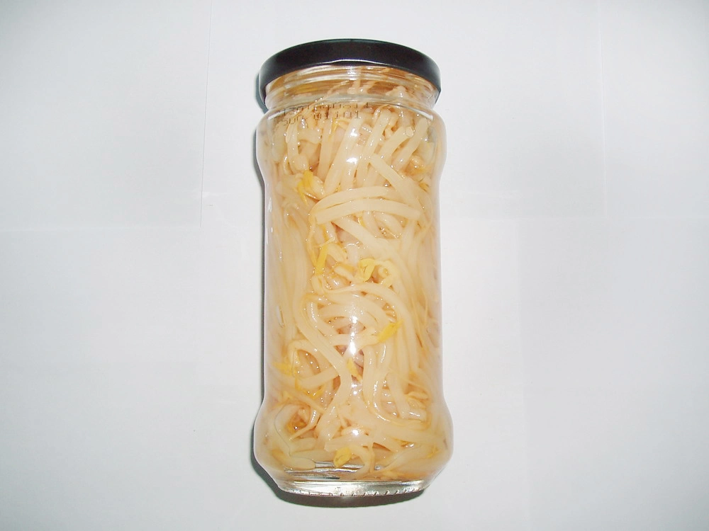 Fresh Bean Sprout Canned Bean Sprout Vegetables in Tin Packing