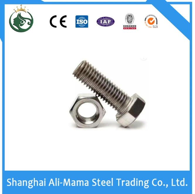 High Strength Bolt Stainless Steel Nut Grade 4.8/8.8/10.9/12.9