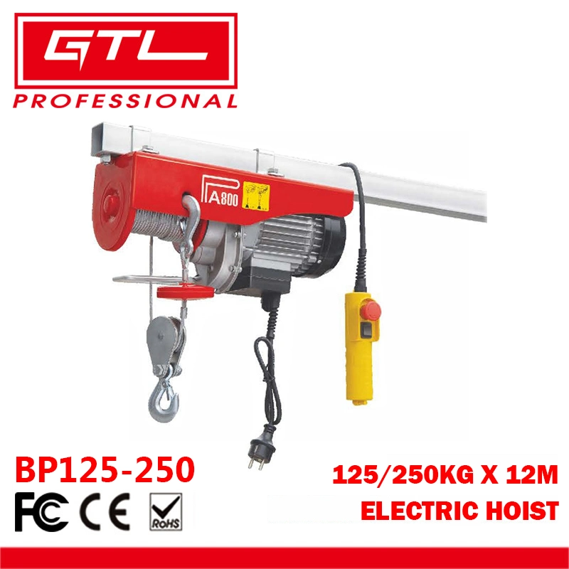 540W, 125/250kg, Hoist Scaffold Overhead Crane Double Line Lift Electric Hoist with 12m Electric Wire Hoist Remote Control Garage Auto Shop (BP125-250)