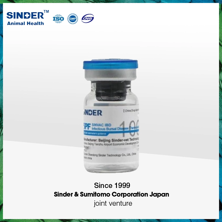 Vogelimpfstoff Newcastle Disease Lebendimpfstoff (Stamm Clone 30, VG/GA) für Geflügel