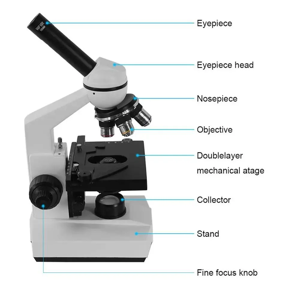 LED de 40X-1000X microscopio biológico Monocular con trabajo mecánico (BM-104)