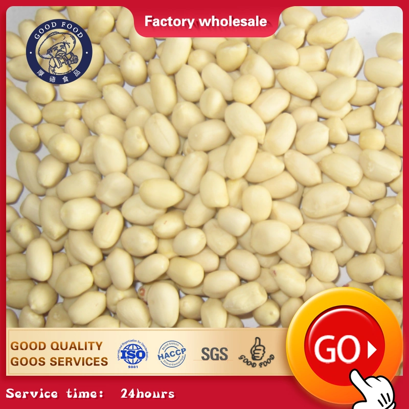 Made in China High Quality Blanched Round Shape Blanched Kernels Peanuts