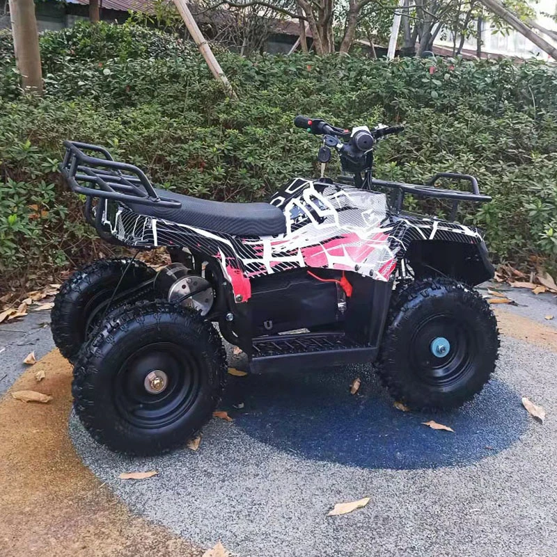 Los niños ATV Quad eléctrico 800W