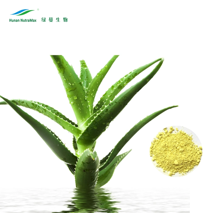 Cosmetics Grade Aloe Vera Extract Powder Water Soluble 10%~60% Barbaloin