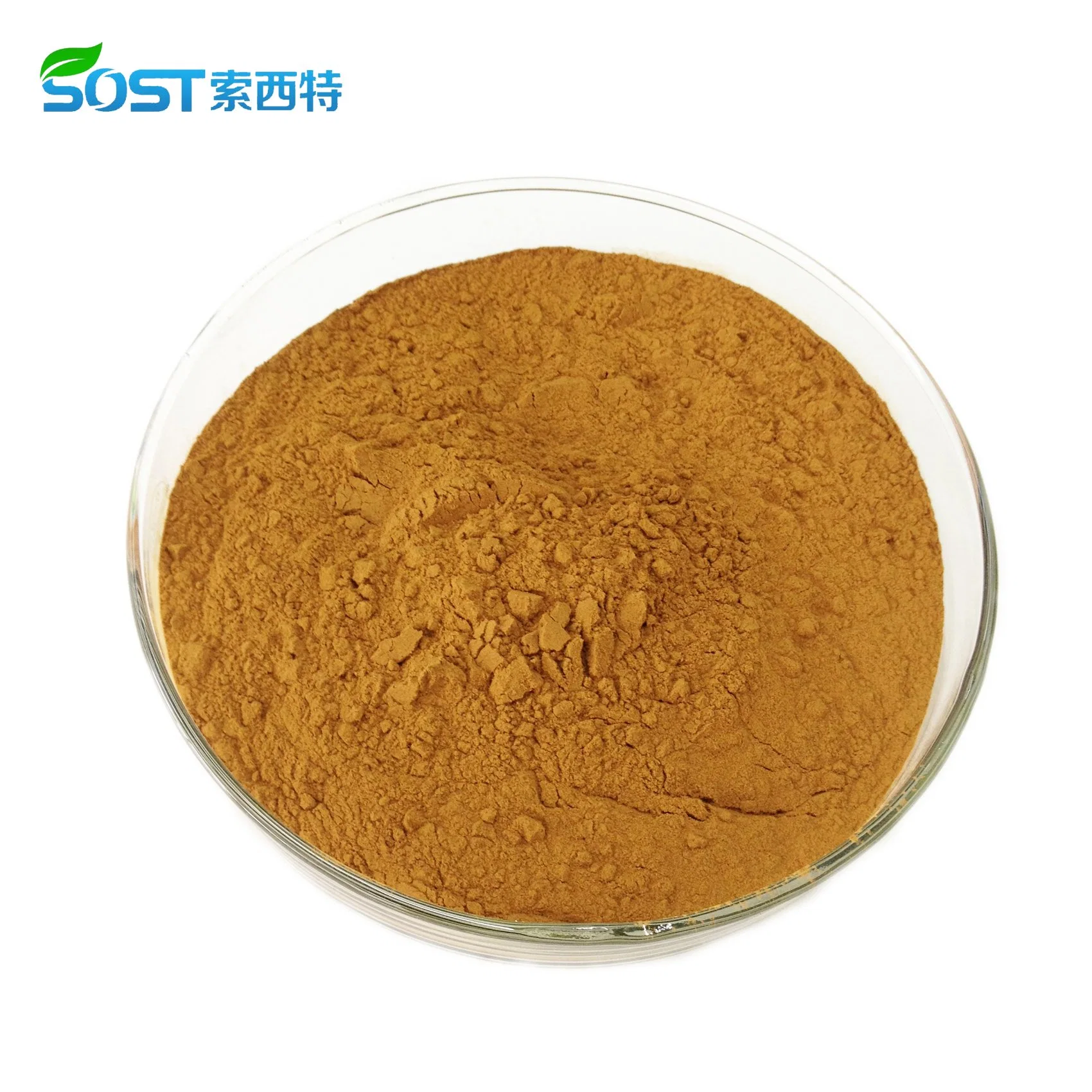Water Soluble Pure Natural Peppermint Powder