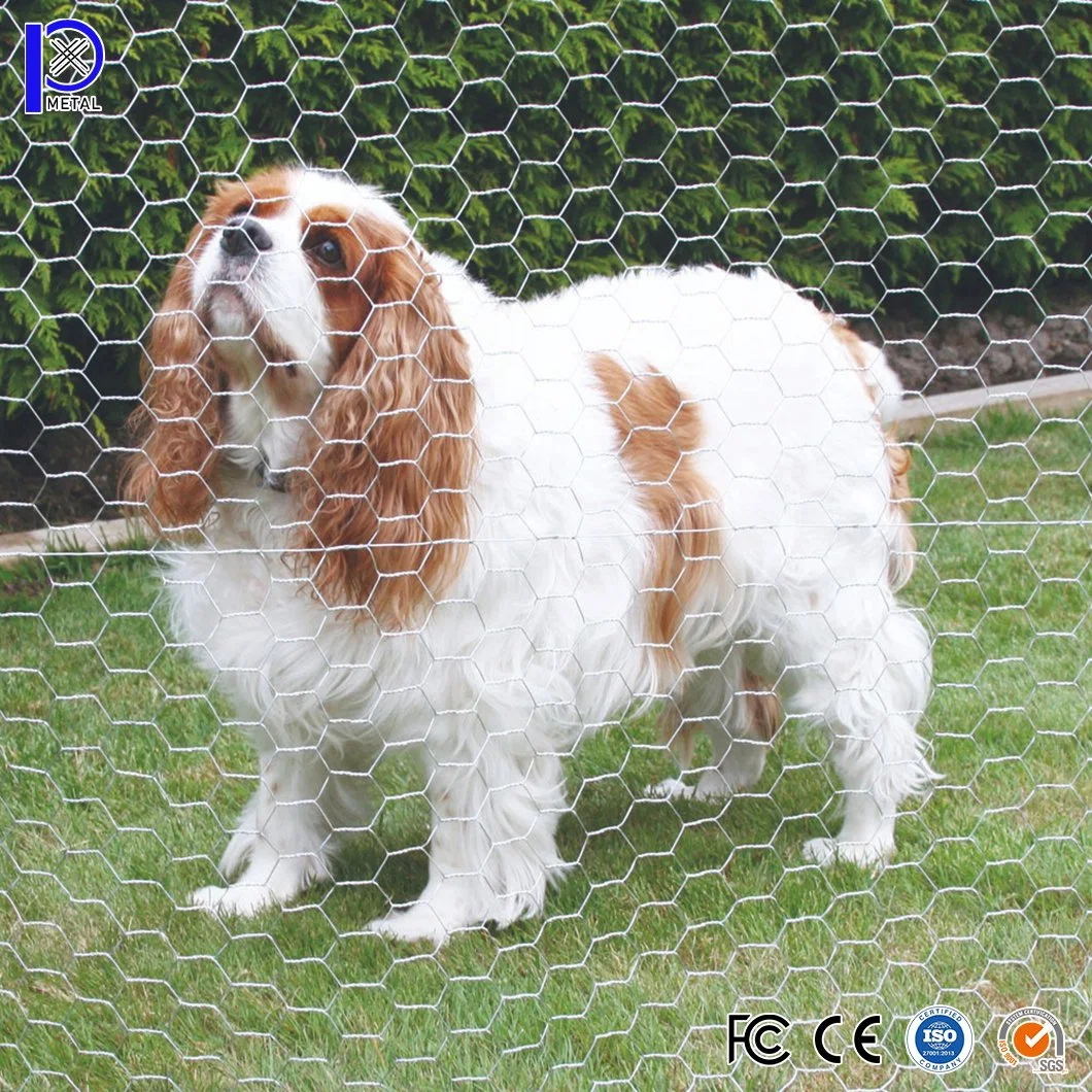 Pengxian Vinyl Chicken Wire China Manufacturers 1 - 1/2 Inch Wire Netting Galvanized Mesh Hexagonal Wire Mesh Used for Mesh Retaining Wall Gabion