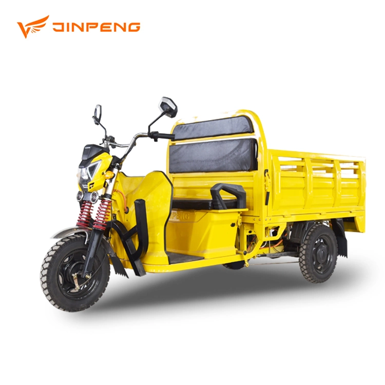 Jinpeng Hot Sale Electric Cargo Tricycle & Parts for Adults