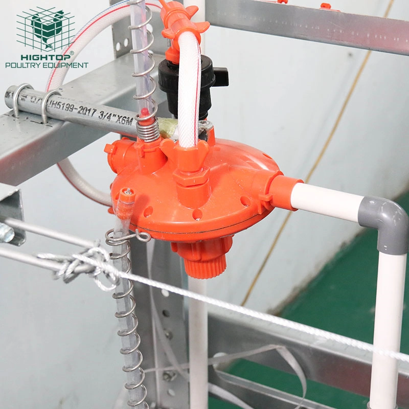 H Type Broiler Feeding System Automatic Battery Chicken Cage for Poultry Farming