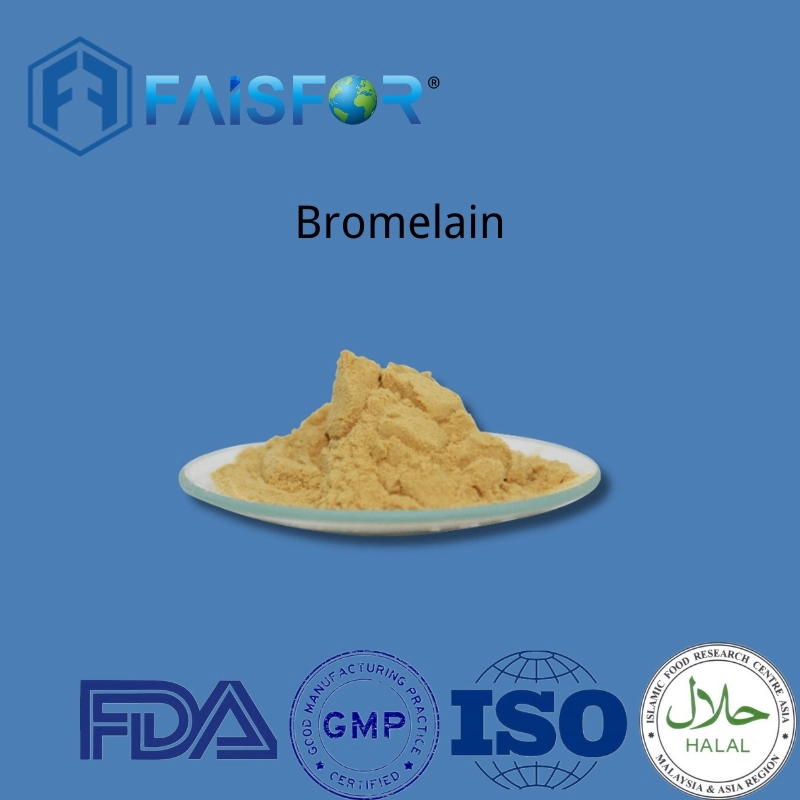 Food Additive High Quality Bromelain Powder