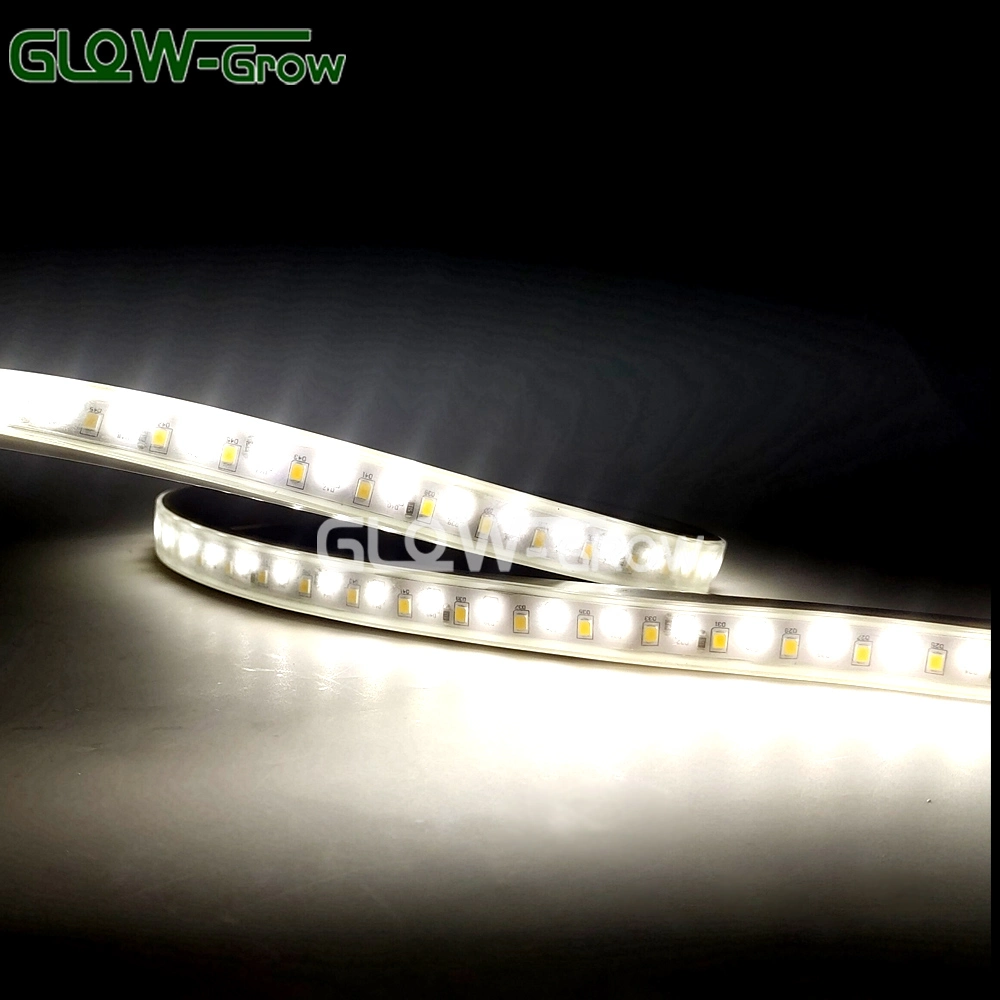 164FT Dual Color Flexible LED Rope Light Strip SMD 2835 LEDs with Dimmable IP65 Waterproof Remote Controller