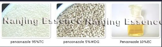 CAS: 66246-88-6 altamente eficaz fungicida Penconazole plaguicidas 95%Tc, el 5%Wdg/WG