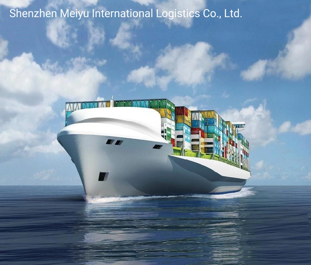 Sea Freight Logistics Ocean Forwarder Shipping Agent From China Shenzhen to Dubai