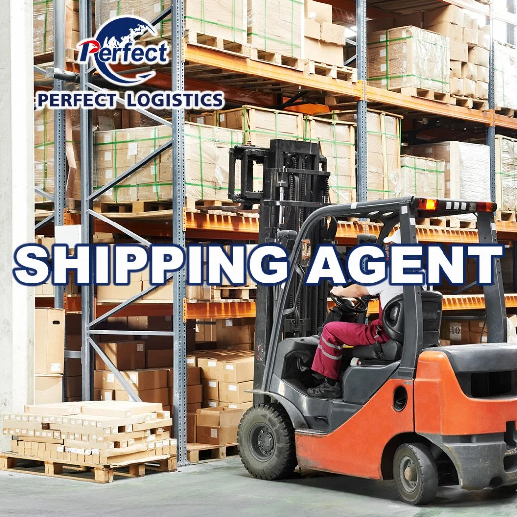 Door to Door Delivery Logistics Services From China to United States/USA/Canada