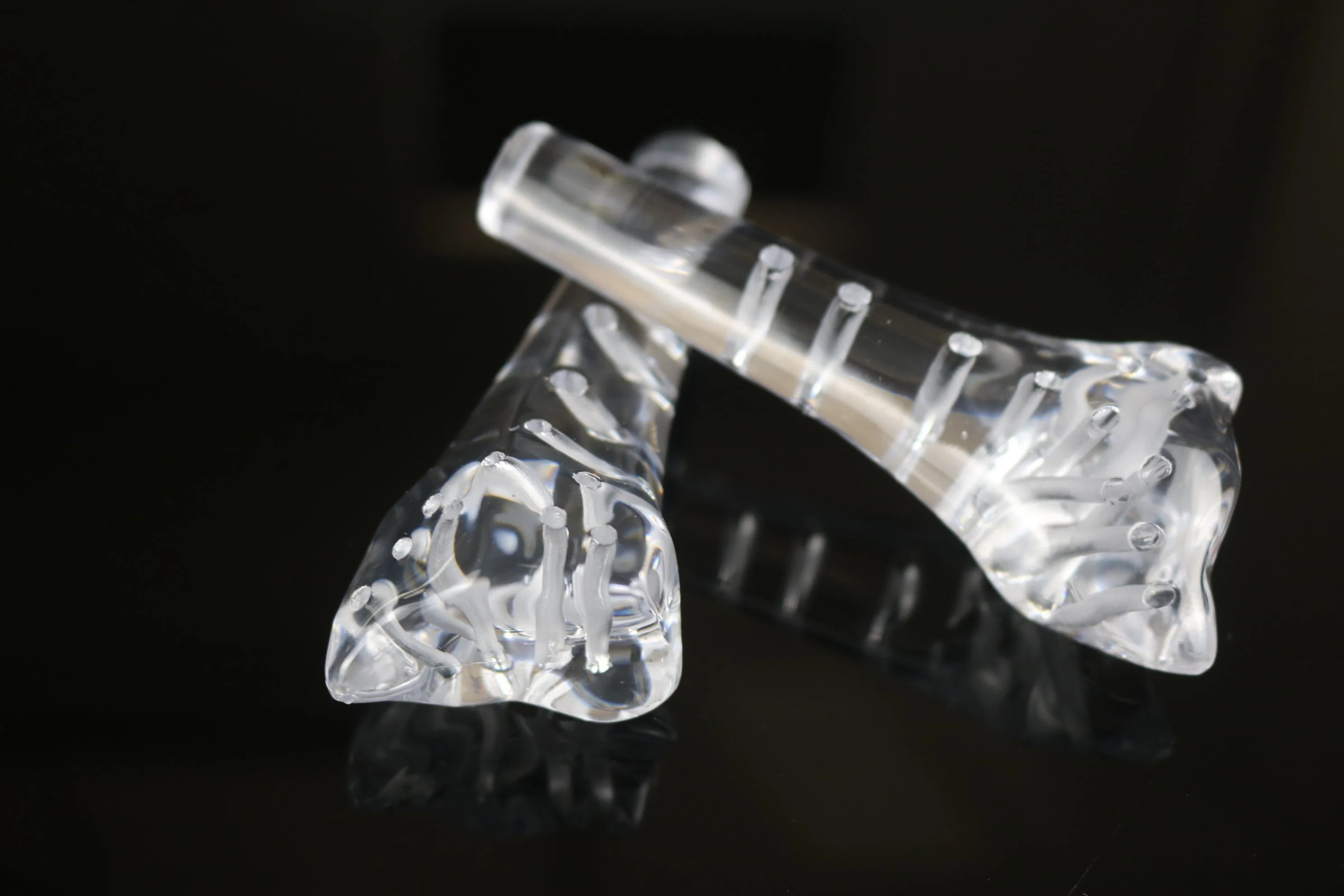 3D-печать Прозрачная кость Пользовательская медицинская модель Пластмассовые изделия Печать Обслуживание