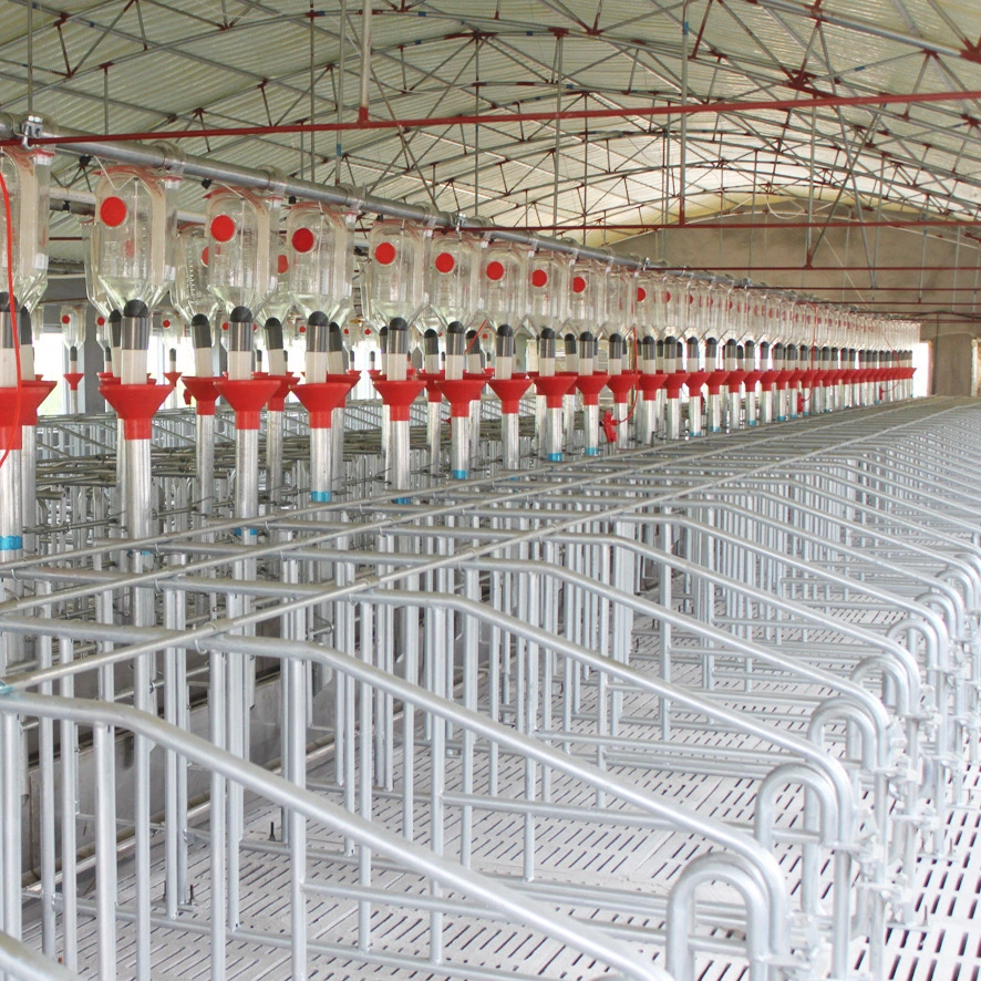 Farm Equipment with High Selling Pig Gestation Stall