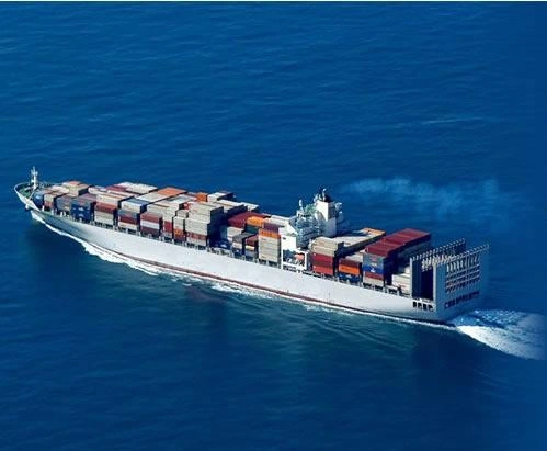 Professional Sea Forwarder Shipping Agent / tarifas baratas de custos de frete da China Ao Paquistão