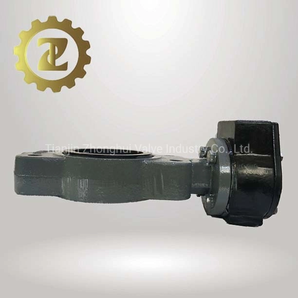 Semi Lugged Butterfly Valve Cast Iron Body Pn10 Pn 16