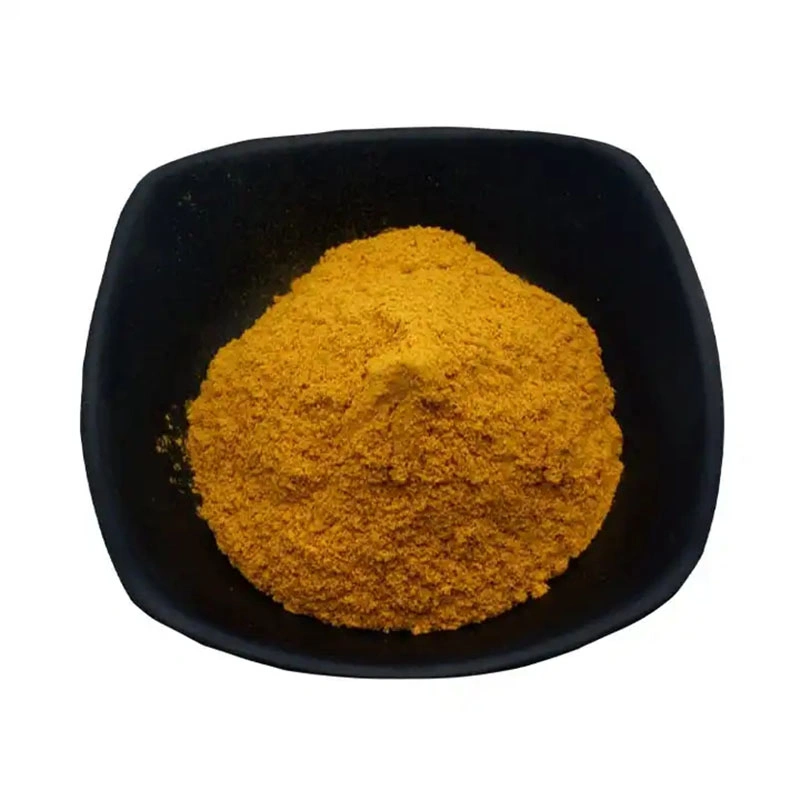 Chrysanthemum Morifolium Extract Powder/Chrysanthemum Powder Food Additive High quality/High cost performance Natural