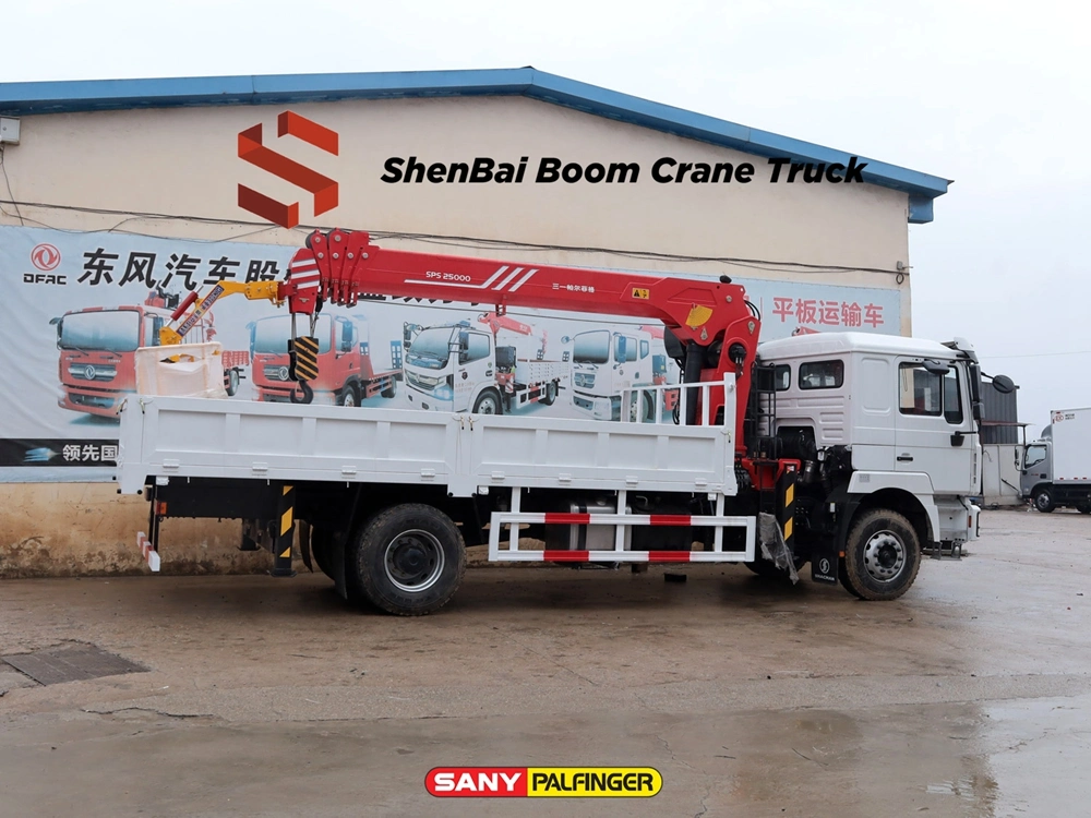 Chinese Brand Shacman F3000 L3000 4X2 Cargo Truck with Crane 7ton 8ton 10ton Straight Boom Crane for Sale