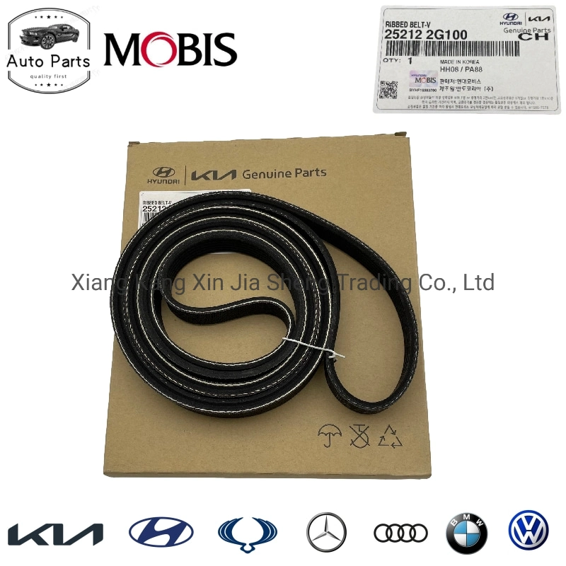 OEM 25212-2g100 Dynamo Belt V Belt Engine Belt Grooved Belt Automobile Generator Belt 6pk2576