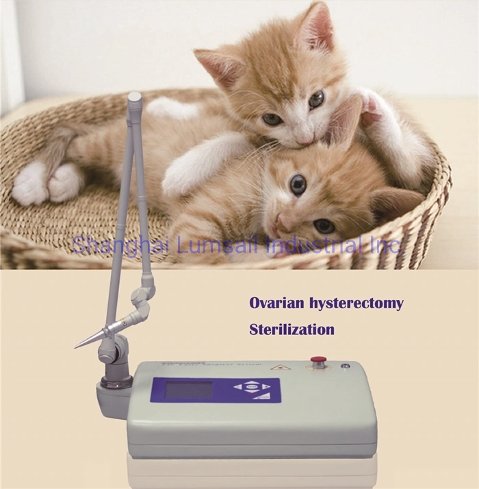 Veterinary CO2 Laser Equipment Manufacturer Vet Surgical CO2 Lasers Machine