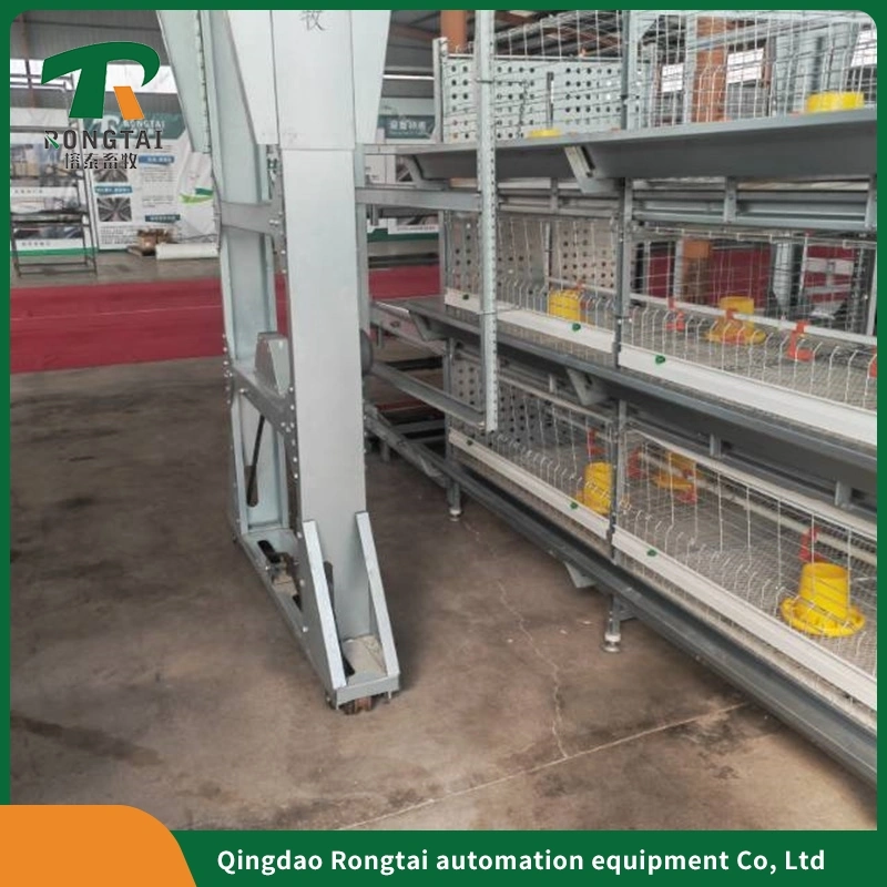 Automatic Chicken Feeding and Drinking System for Chicken Poultry Farming Equipment.