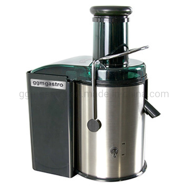 Commercial Fruit Juice Extractor in Beverage Shop