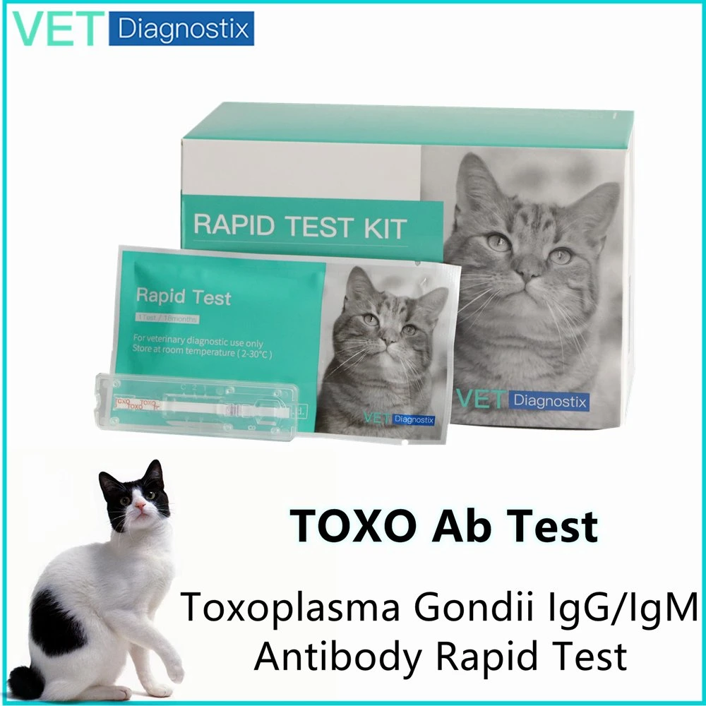 Cat Virus Test Feline Toxoplasma Igg/Igm Antibody Test