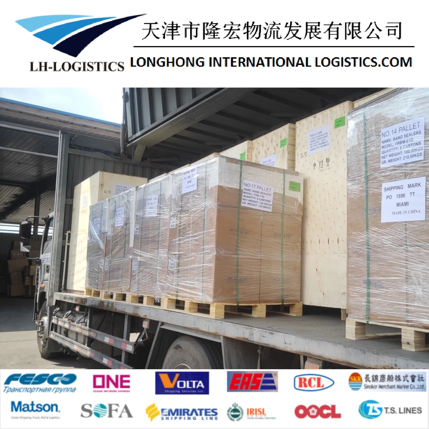 Professional Shipping Agent Sea Shipping From China Shanghai/Shenzhen/Ningbo/Qingdao/Tianjin/Dalian to Bandar Abbas/USA/Canada/Europe/UK/Australia