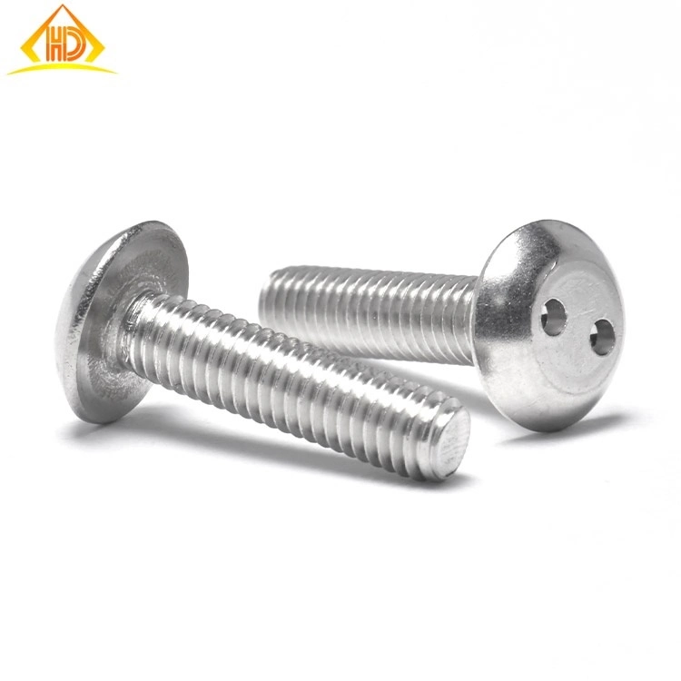 Hand SS304 SS316 Security Screw Snake Eye Pig Nose Pan Flat Head Anti-Theft Screws Spanner