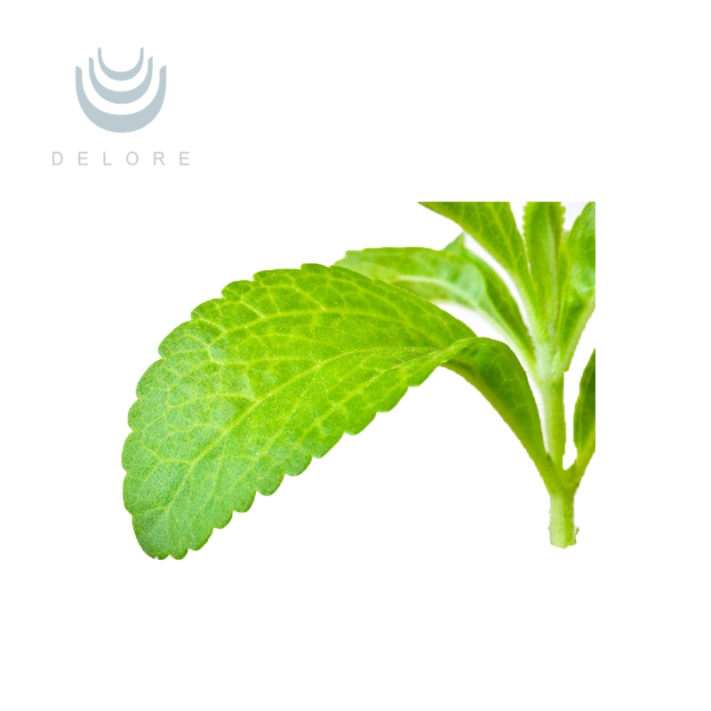 High quality/High cost performance  Pure Stevia Leaf Powder Extract Stevioside Powder Stevia Extract