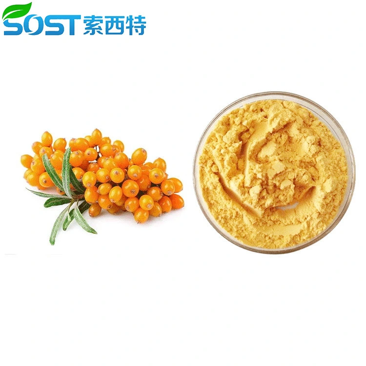 Spray Drying Nutrious Seabuckthorn Juice Powder