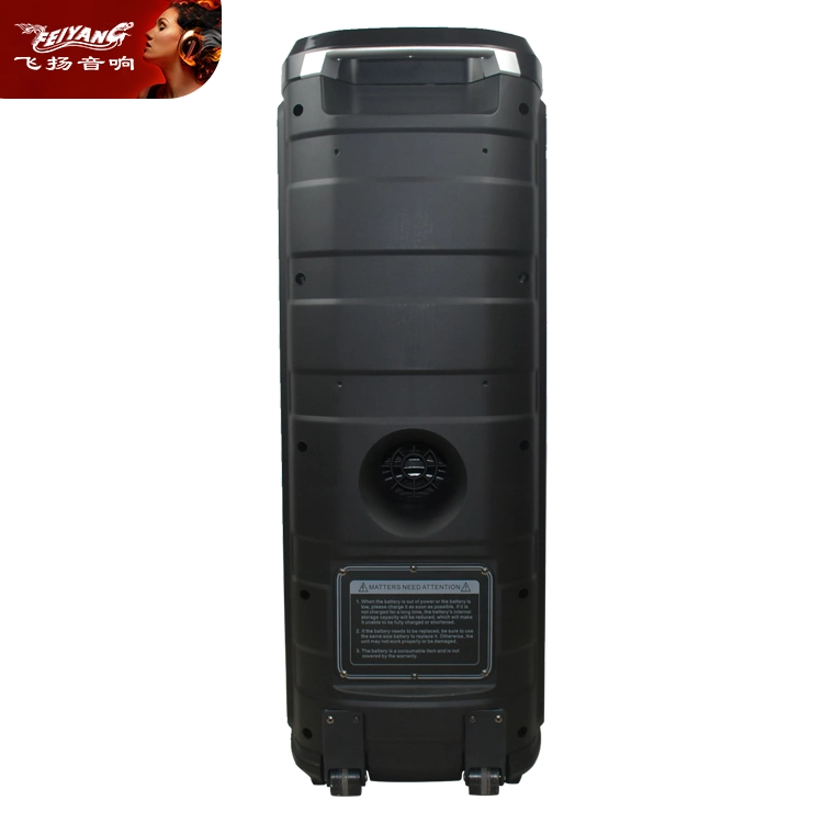 Feiyang New Hot Selling Trolley Speaker Fg210-06