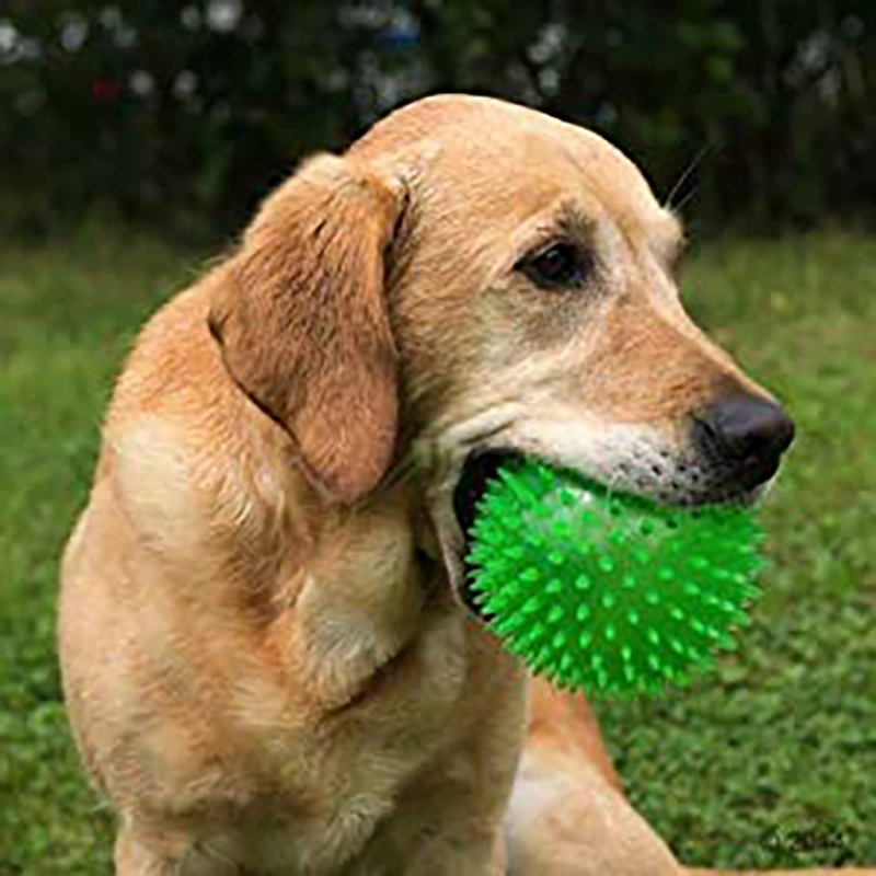 Morsure de chien jouet en plastique PET bille résistant à la couleur est disponible