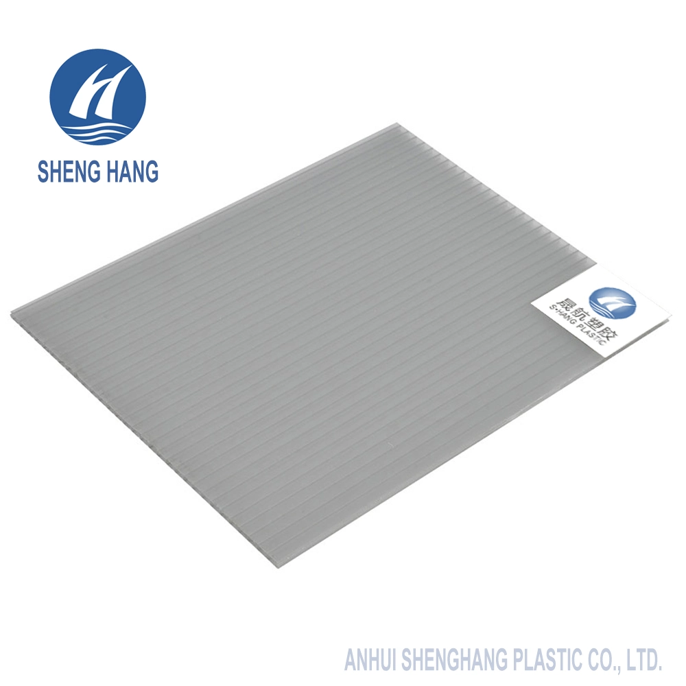 Decorative Plastic Polycarbonate Hollow Panel with SGS Certificate