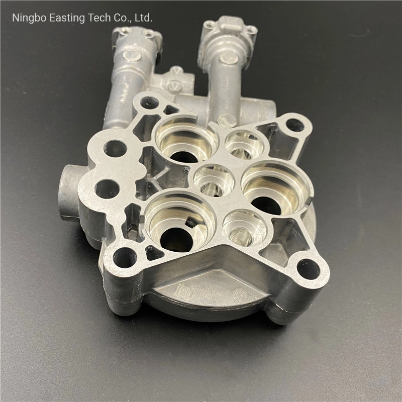 Mould Design Precise Aluminium Die Casting Parts with Burring for Cleaning Machine Pump