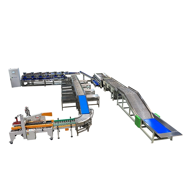 Automática Industrial Fruit&amp;Longan Vegetais Lime Kumquat Lichia Lichee seco de triagem de secagem da máquina de embalagem para venda