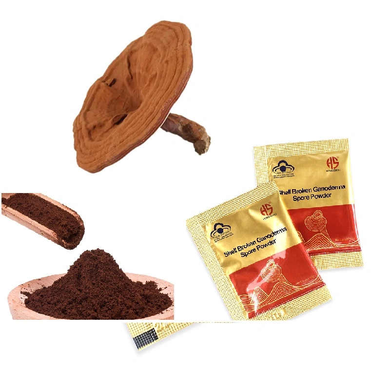 Daily Consumption Food Free Sample Shell Broken Reishi Ganoderma Lucidum Powder