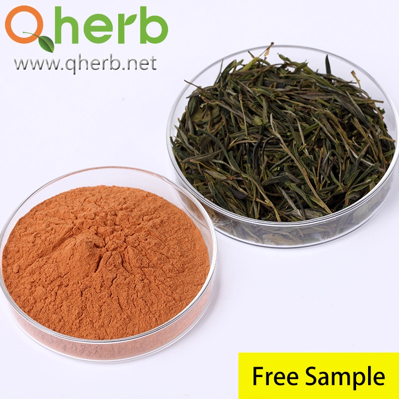 40% EGCG 98% Tea Polyphenols UV with Free Sample