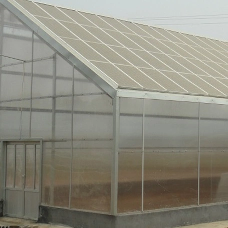 Pequeño invernadero de setas con sistema de enfriamiento para el cultivo de tomates