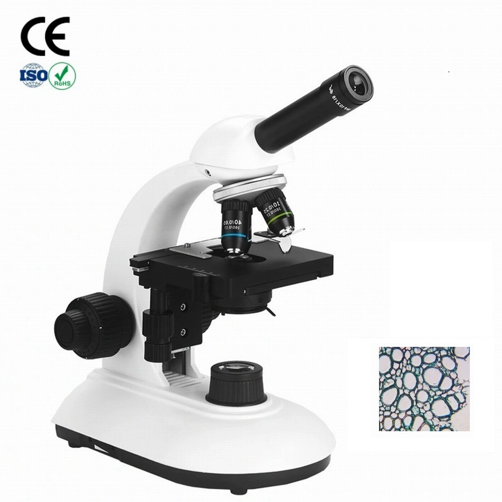 Monocular de 1000x Microscopio Binocular biológico estudiante Laboratorio de soporte de alimentación de banco de potencia