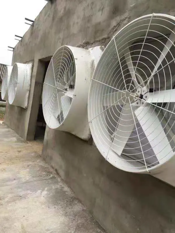 Industrial Axial Evaporative Air Cooler, Water Cooling, Exhaust Fan, High Speed