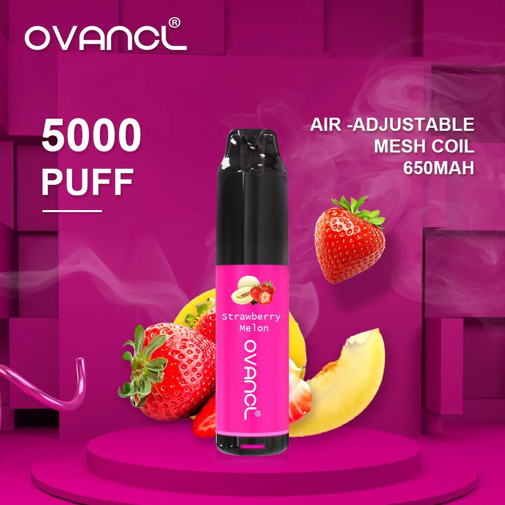 2022 горячие продажи на заводе Vape перо оригинальный дизайн 5000 Puffs аккумулятор сетки на катушку E к прикуривателю воздуха регулируется одноразовые Электронные сигареты ЭГО CE4