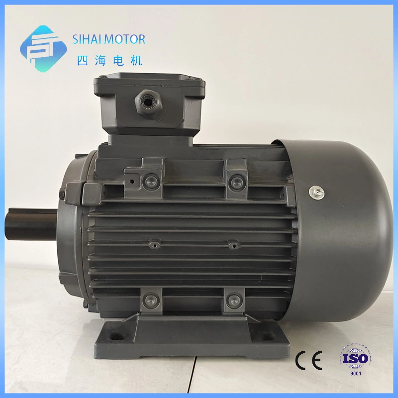 Le2/Le3 Efficiency 1.5HP 1.1kw Cast Iron AC Electric Three Phase Motor