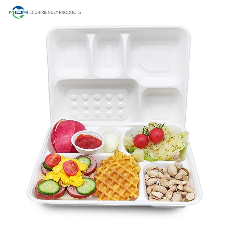 Biodegradable Tableware to Go Box 5 6 Compartments Sugarcane Bagasse Lunch Trays Bagasse Clamshell Kids Dinner Sets Food Containers Dinner Set Lunch Box