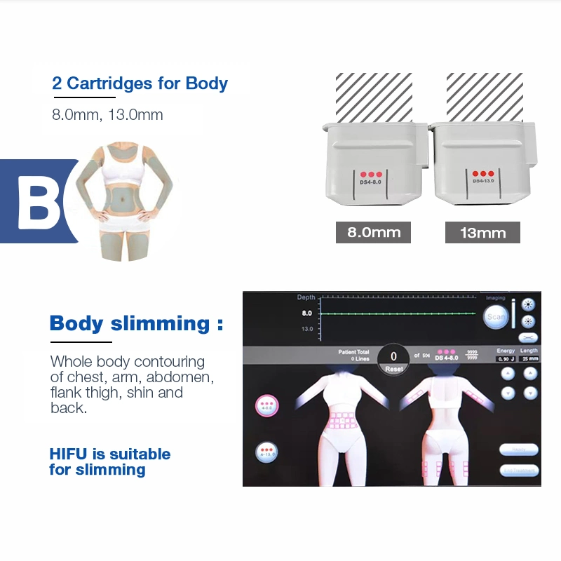 CE/FDA/RoHS 2in1 Weight Loss Skin Elasticity Improving Equipment