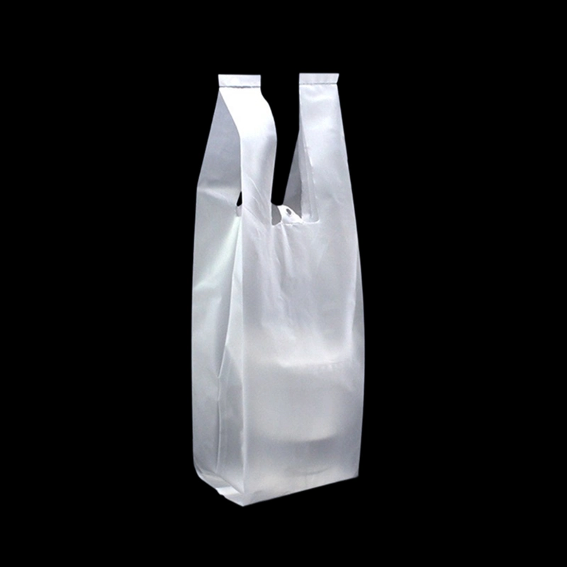Plastic Shopping Bag for Gift Cosmetic Fashion Handbags Food Packaging