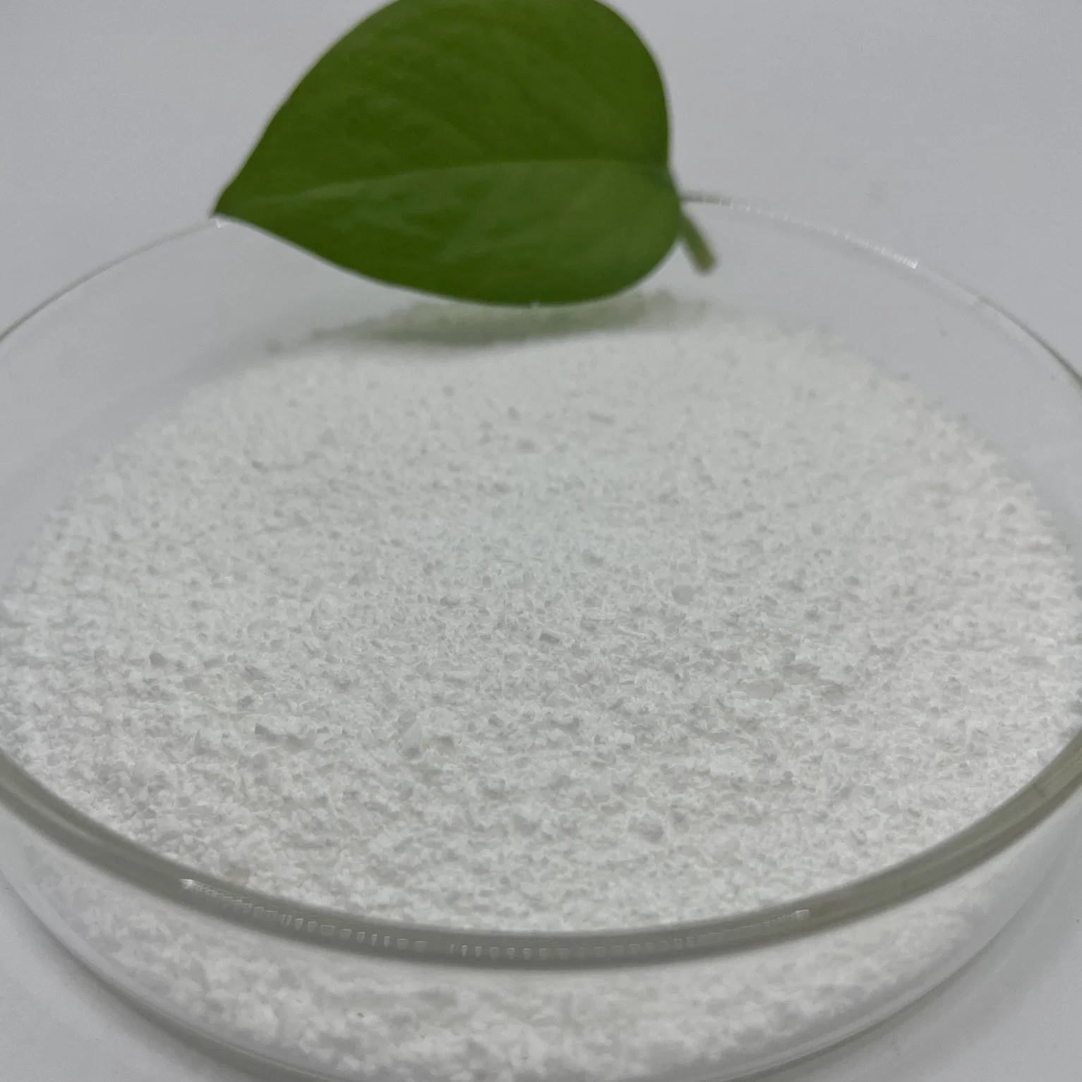 GMP Factory L-Lysine HCl Powder for Human Nutrition