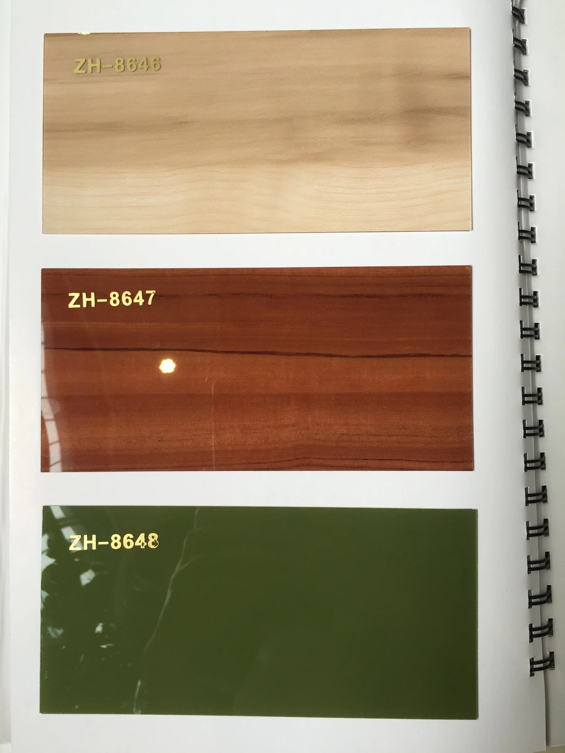 La decoración del hogar Material de la lámina de acrílico (ZH-8638)