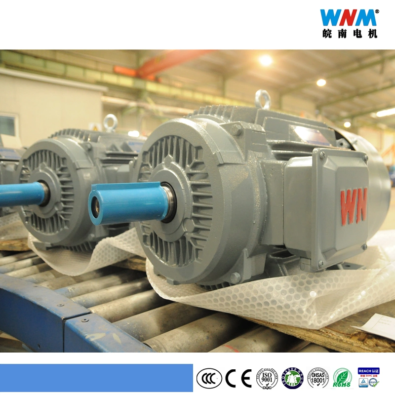 Ye3 IEC Standard Chinese Top Leading Electric Motor Manufacturer of Three Phase Induction Series Ye3-71m1-6 0.18kw